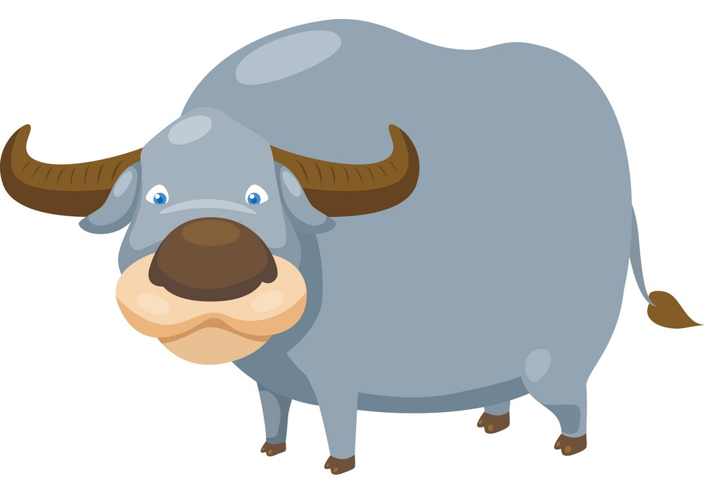 funny blue buffalo
