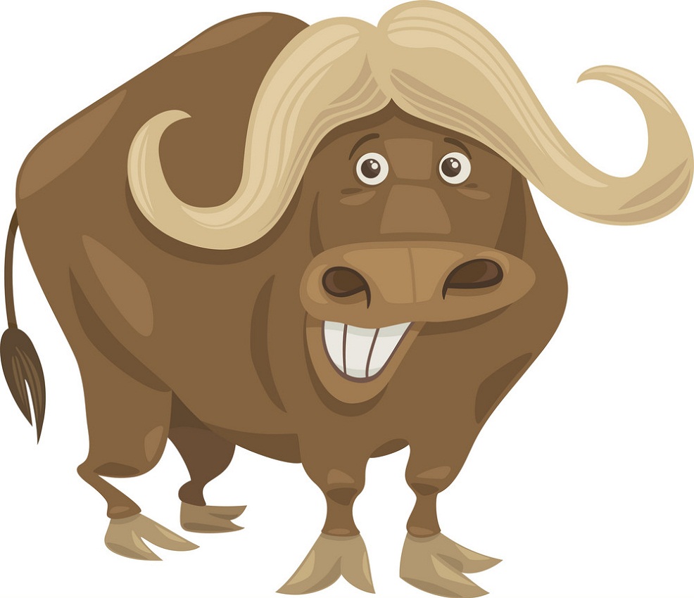funny buffalo smiling