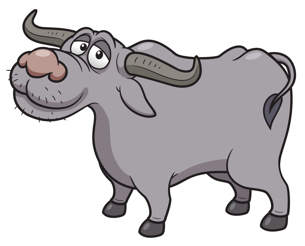 funny cartoon buffalo