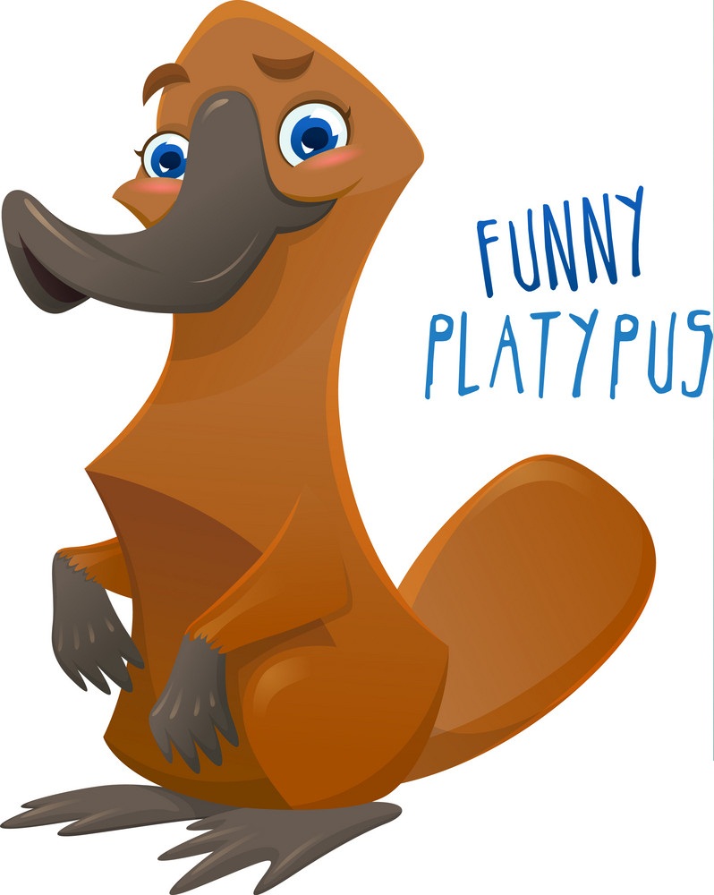 funny cartoon platypus