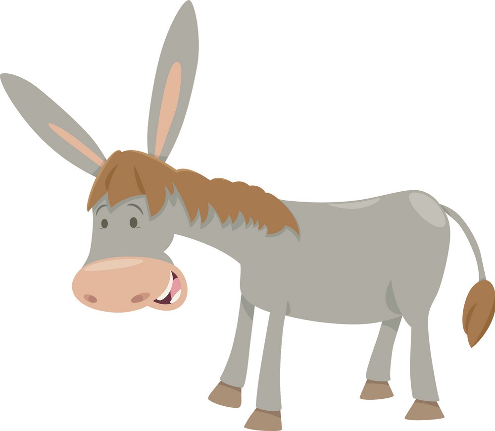 funny donkey