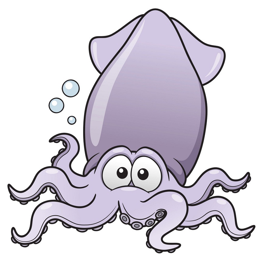 funny fat squid