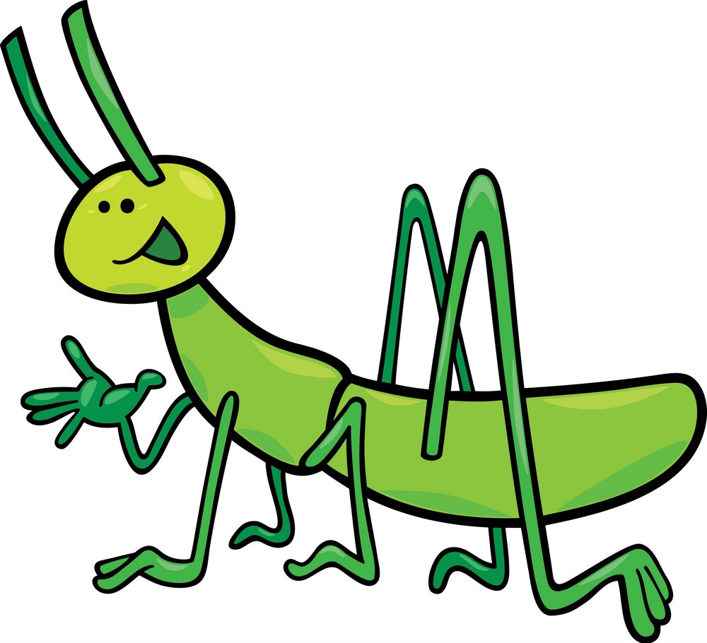 funny grasshopper 1