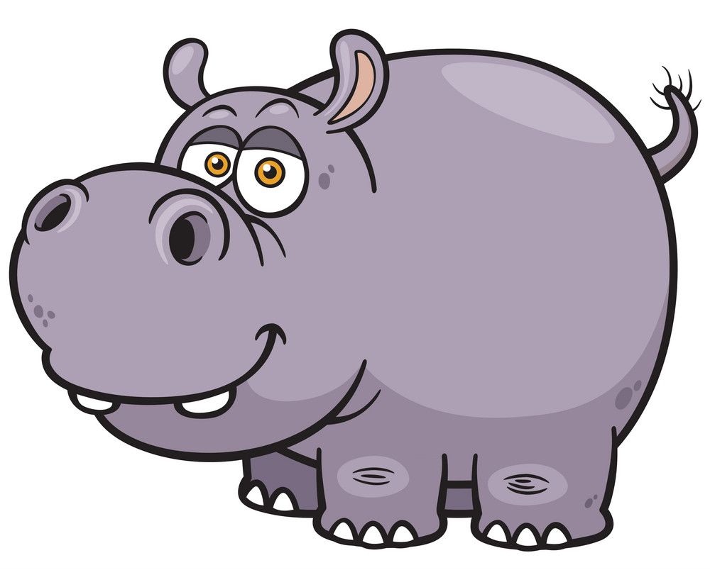 funny hippo