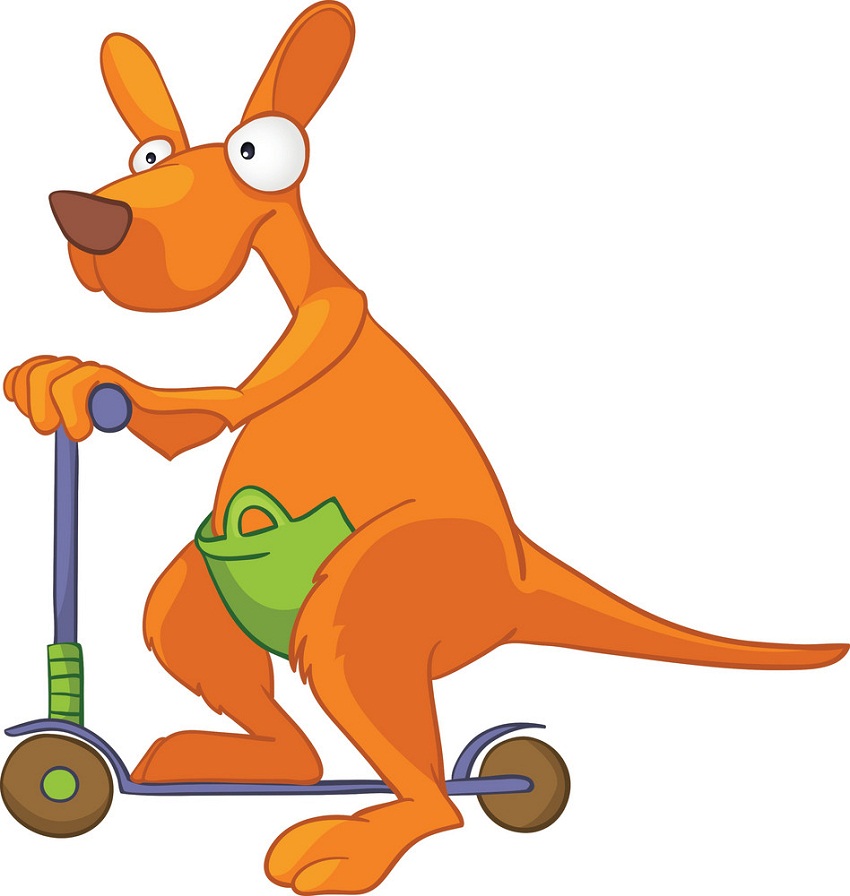 funny kangaroo on scooter