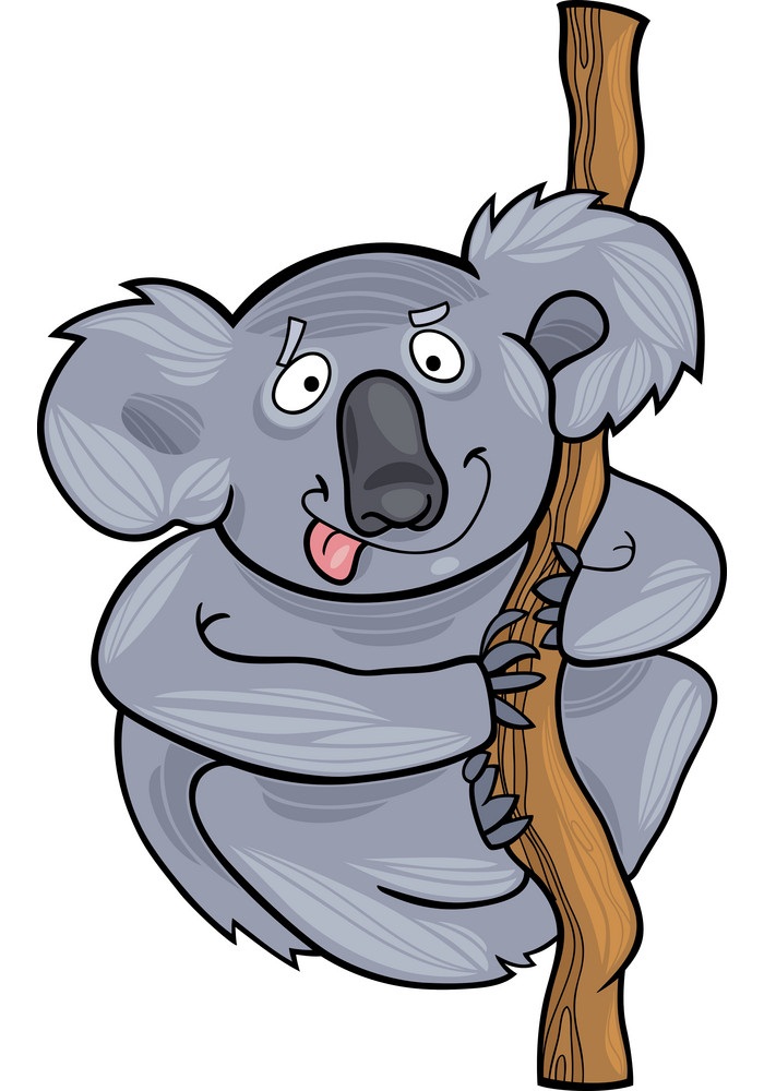 funny koala on a branch