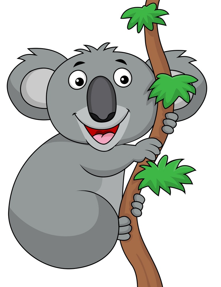 funny koala on a tree branch