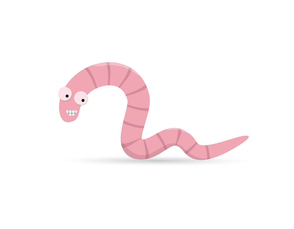 funny pink worm