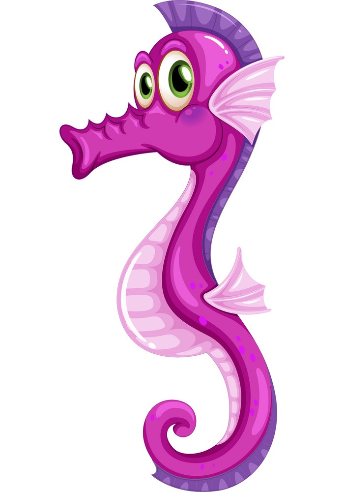 funny purple seahorse