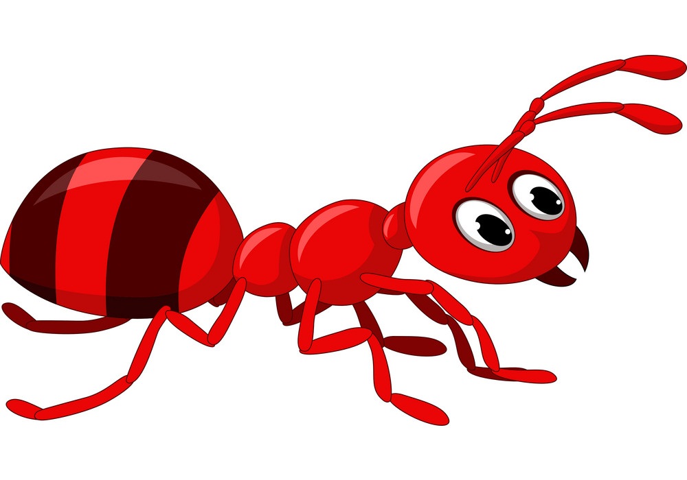funny red ant