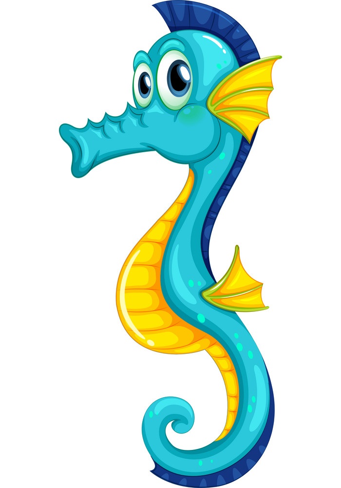 funny seahorse