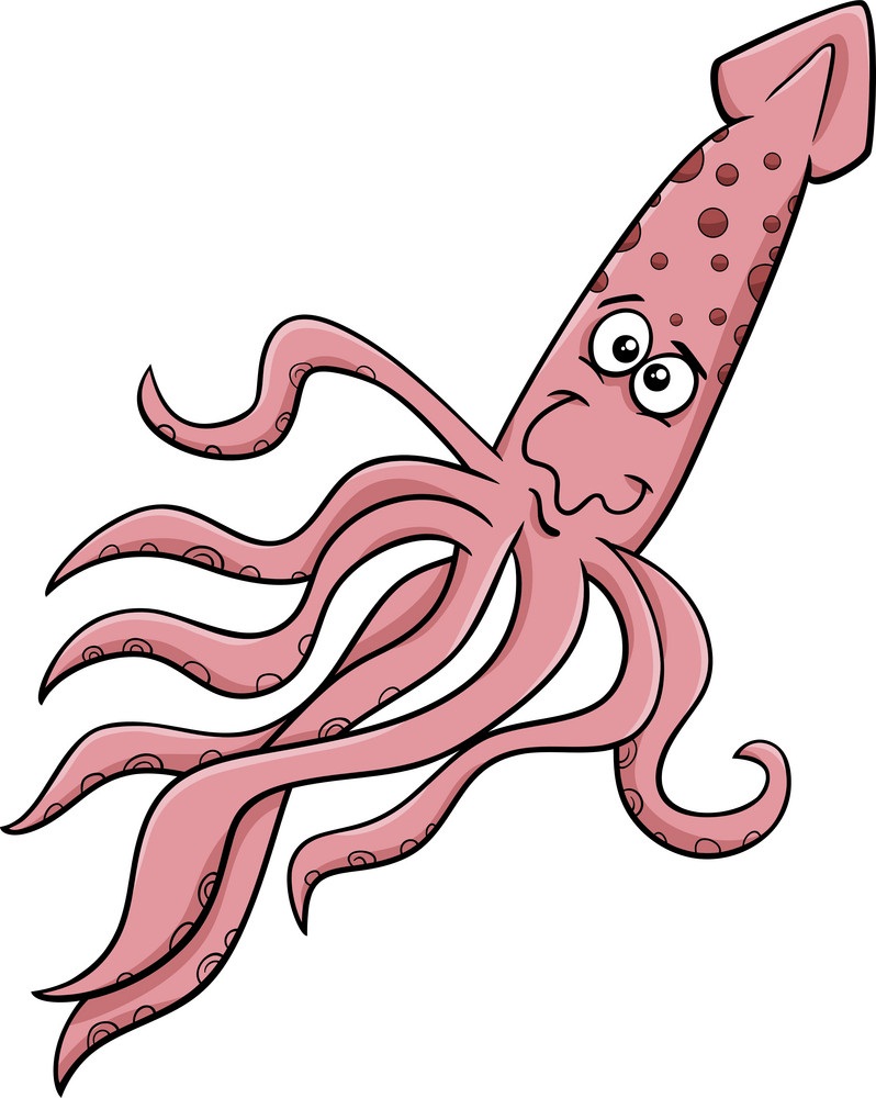 funny squid