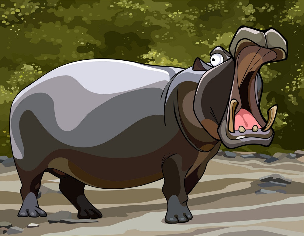 funny wild hippo with open mouth