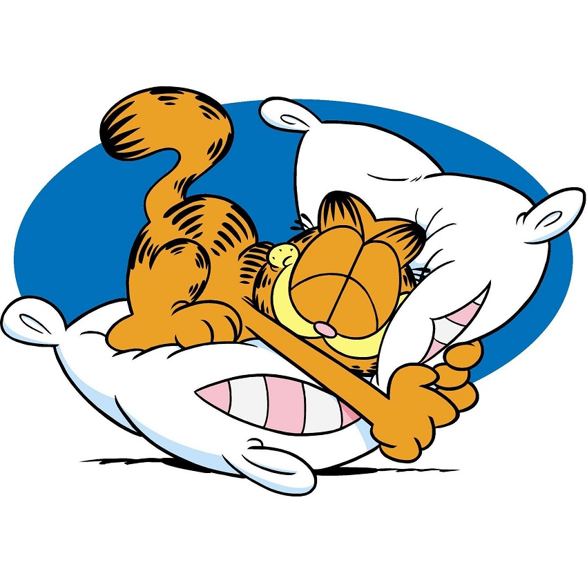 garfield with pillow