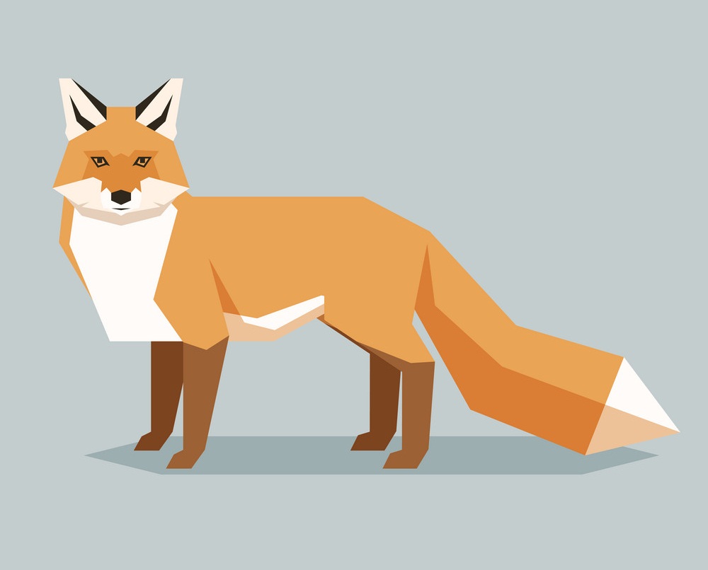 geometric fox