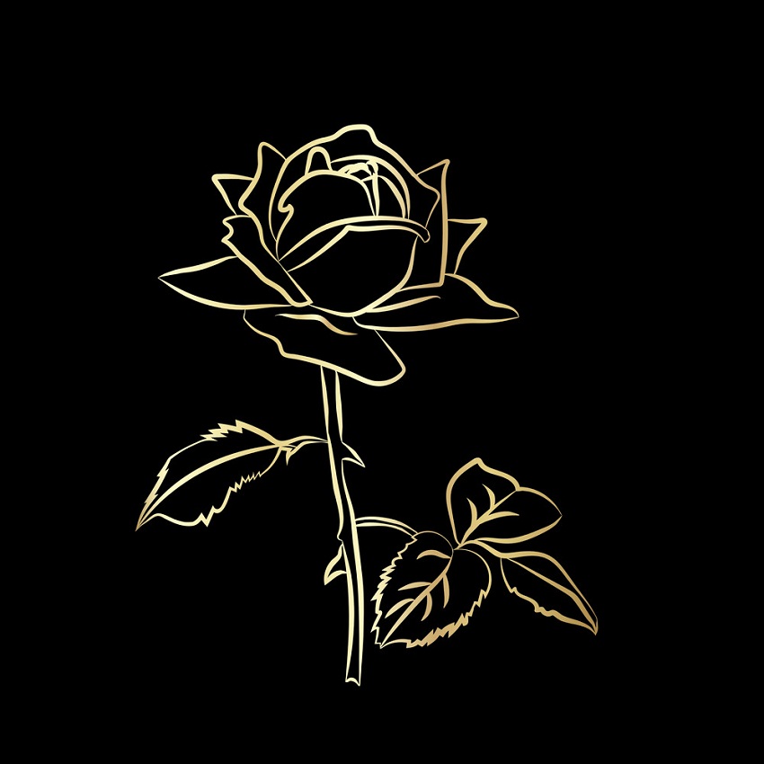 gold rose outline on black background