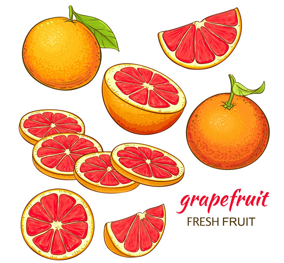 grapefruit and slices