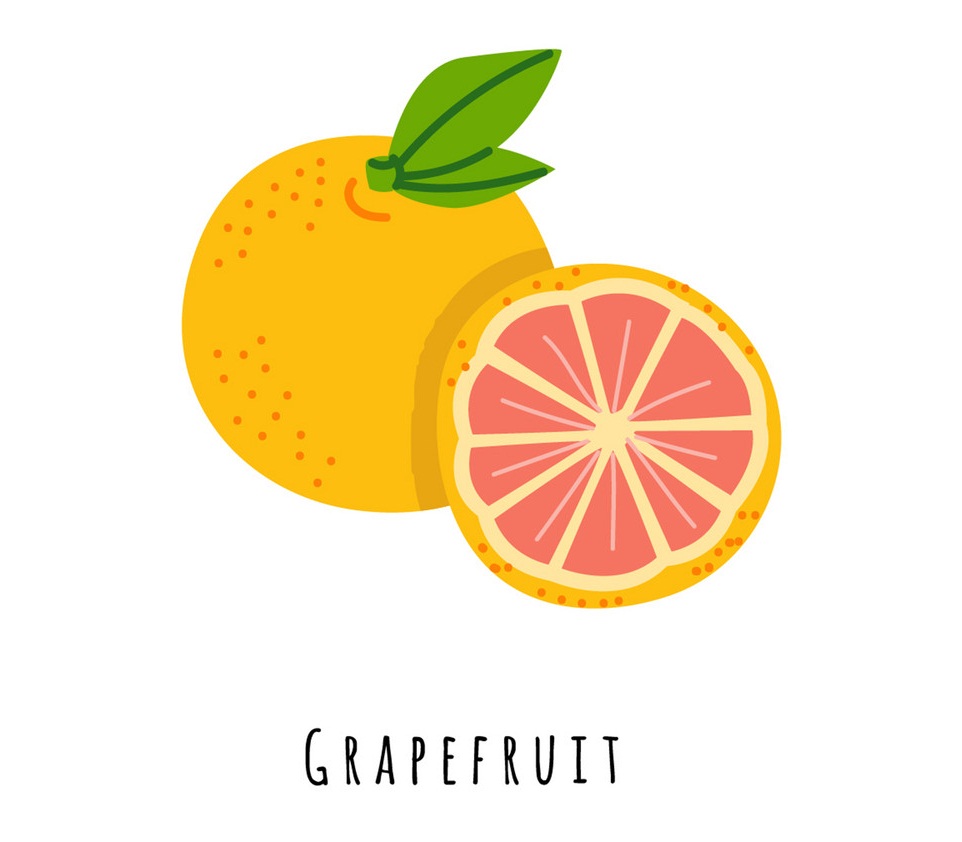 grapefruit flat icon