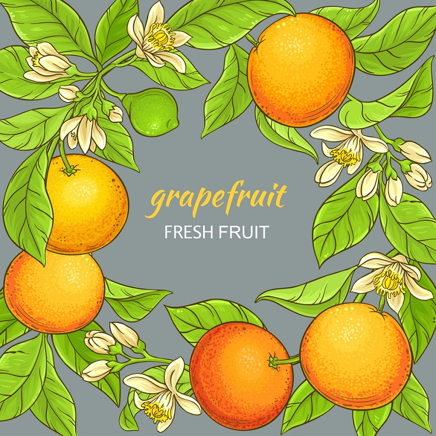 grapefruit frame
