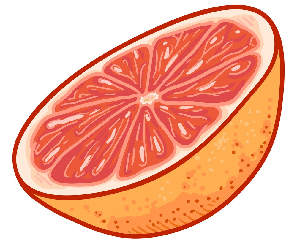 grapefruit half cut