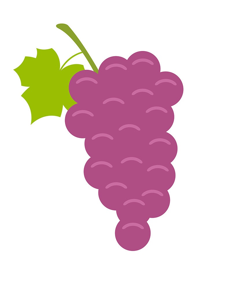 grapes flat design