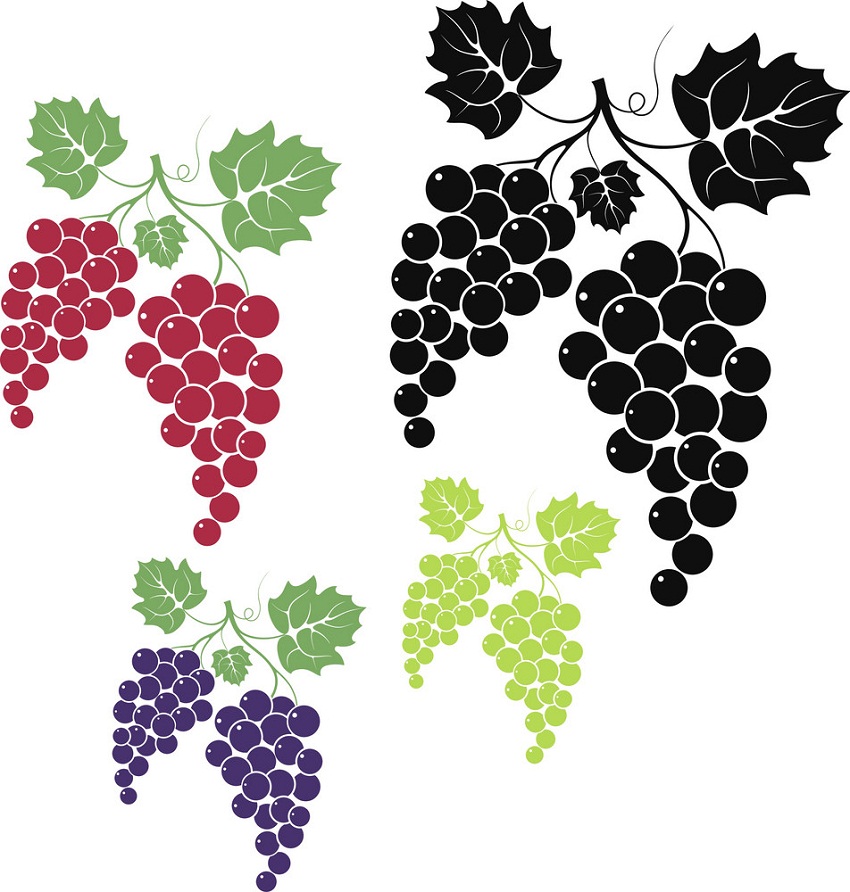 grapes icons