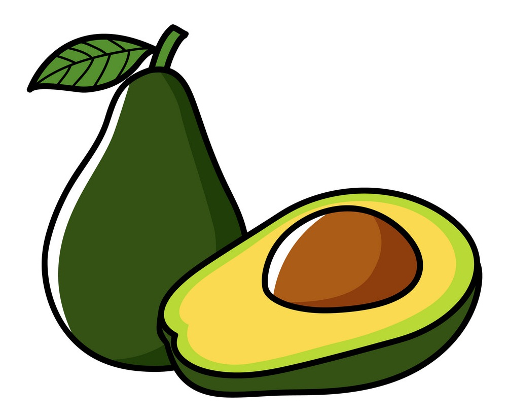 graphic of avocado