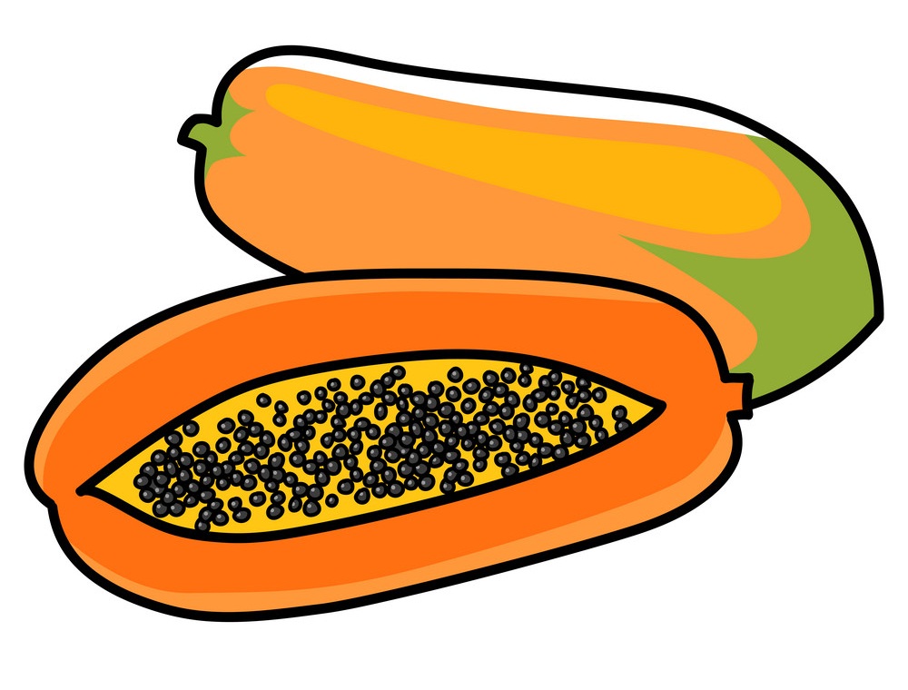 graphic of papaya