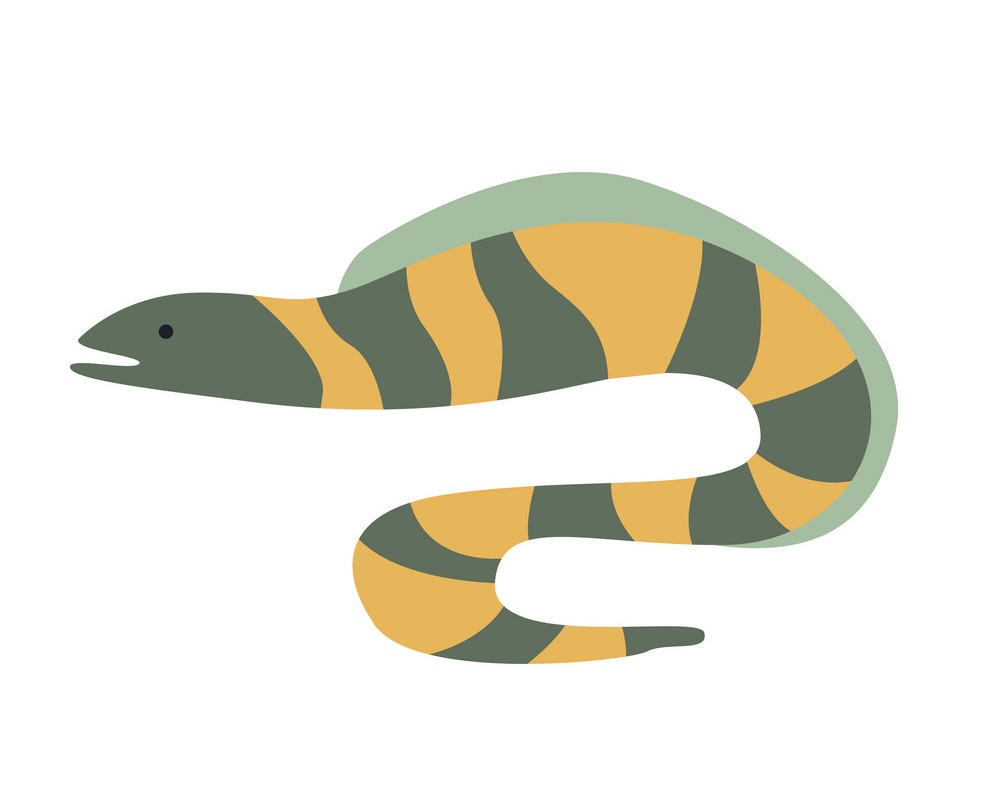 gray and yellow stripy moray eel