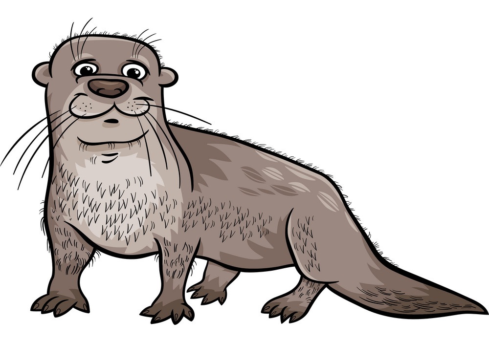 gray otter