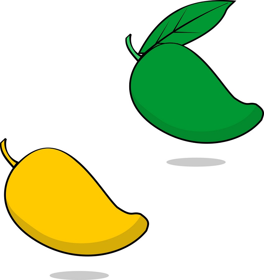 green and yellow mangoes