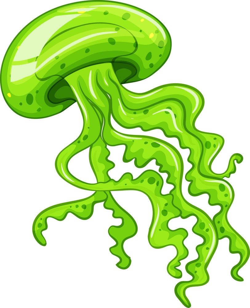 green jellyfish