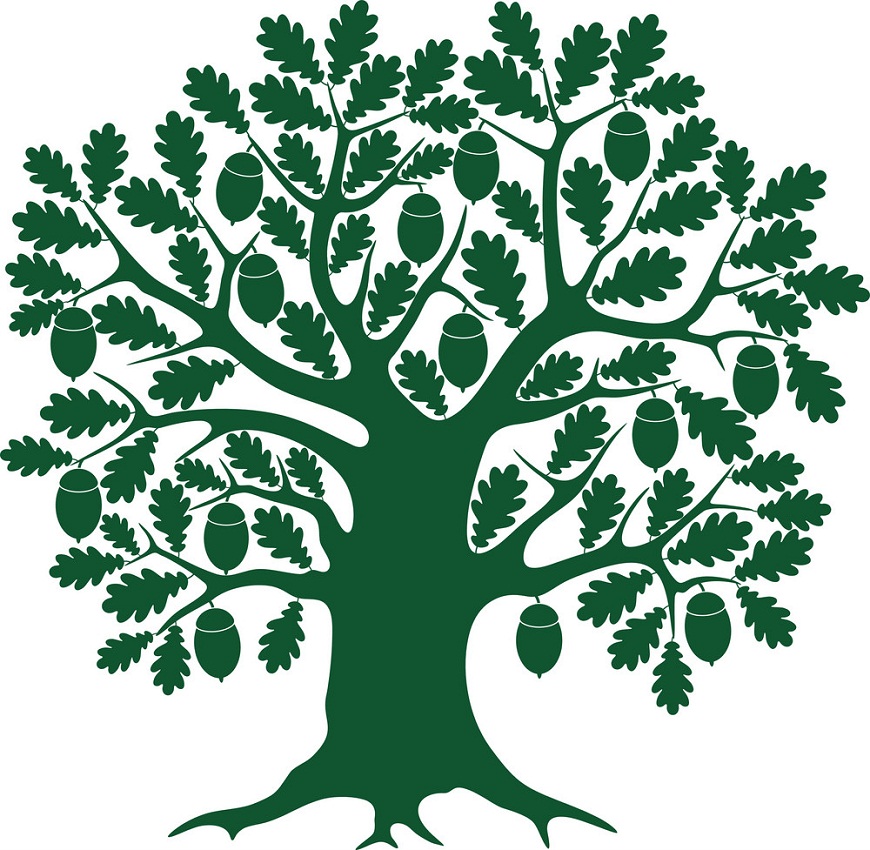 green oak icon