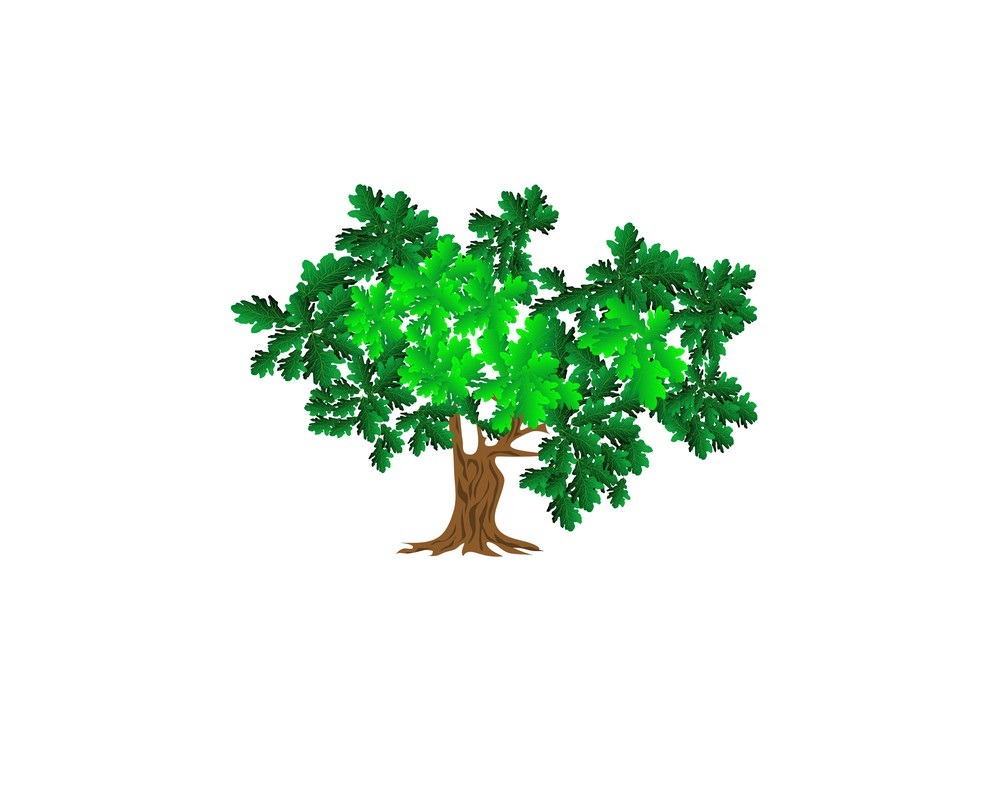 green oak
