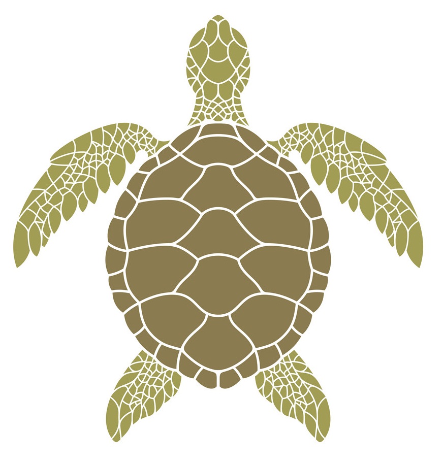 green sea turtle design