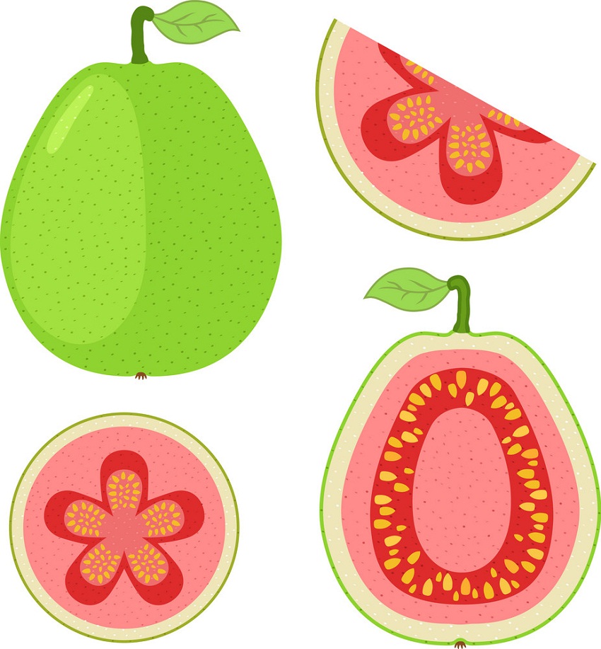 guava with slices