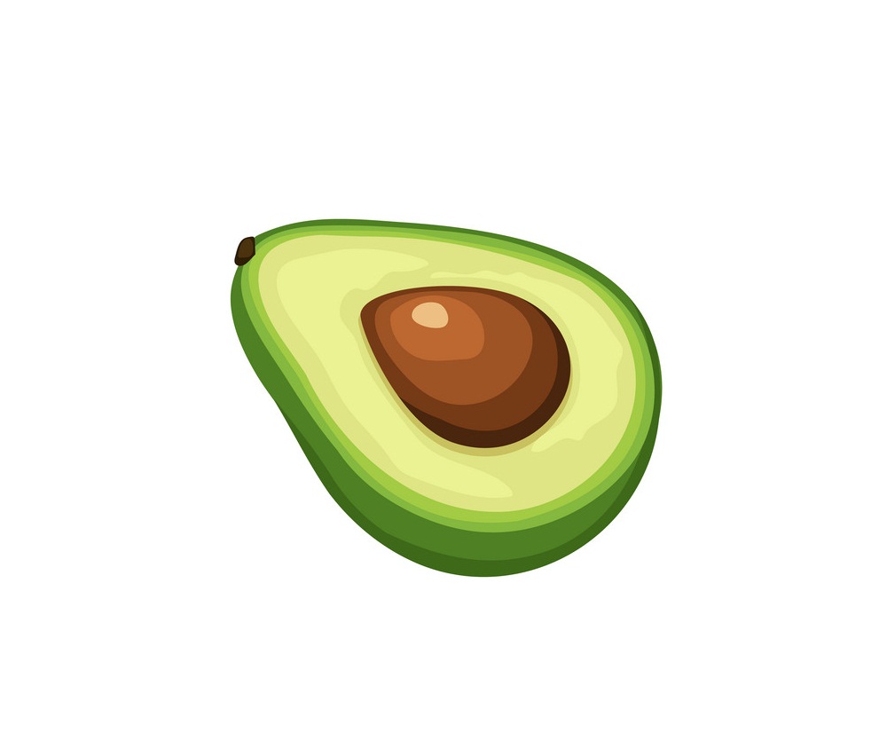 half of avocado icon