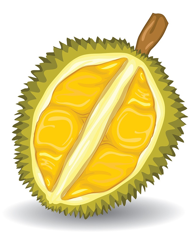 half of durian