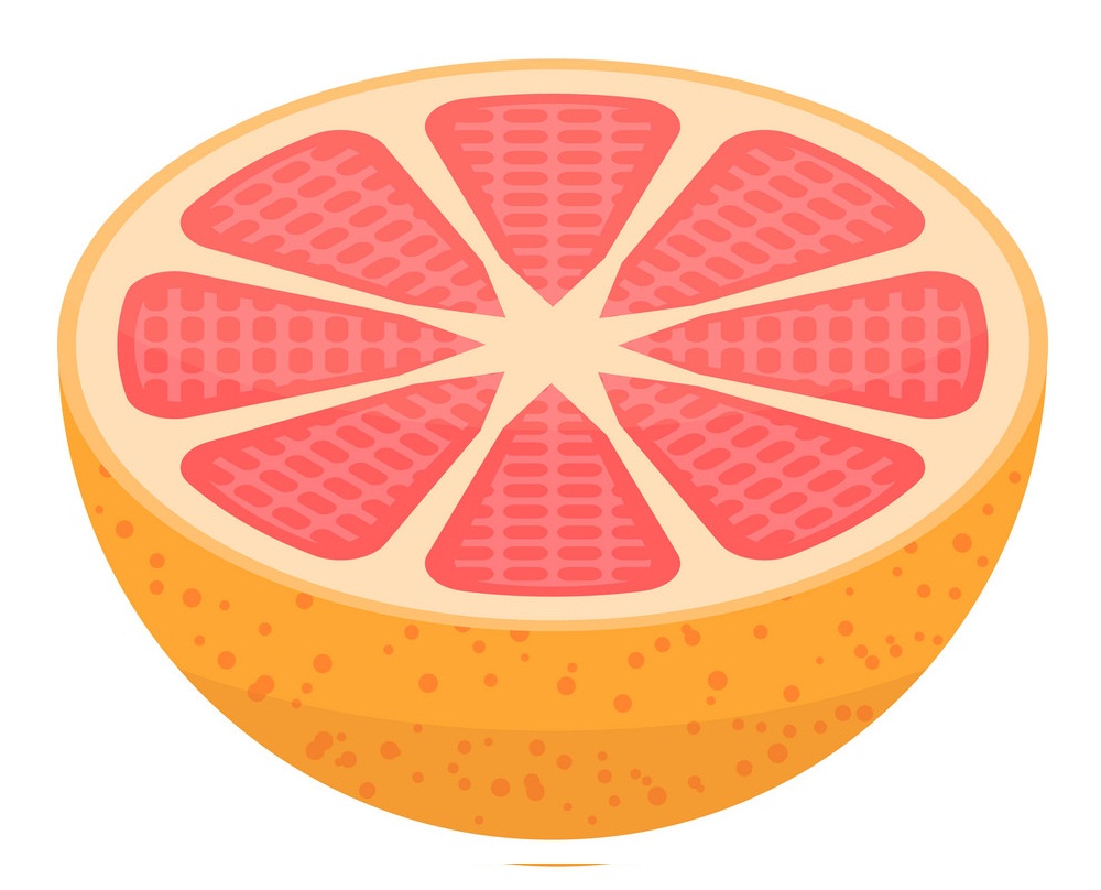 half of grapefruit icon isometric style