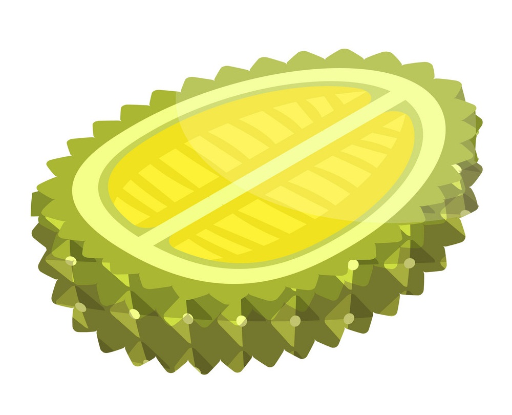 half of isometric durian