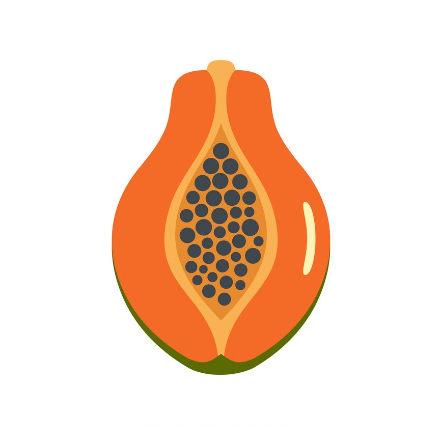half of papaya flat icon