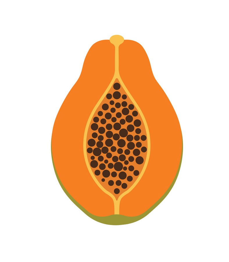 half of papaya fruit icon