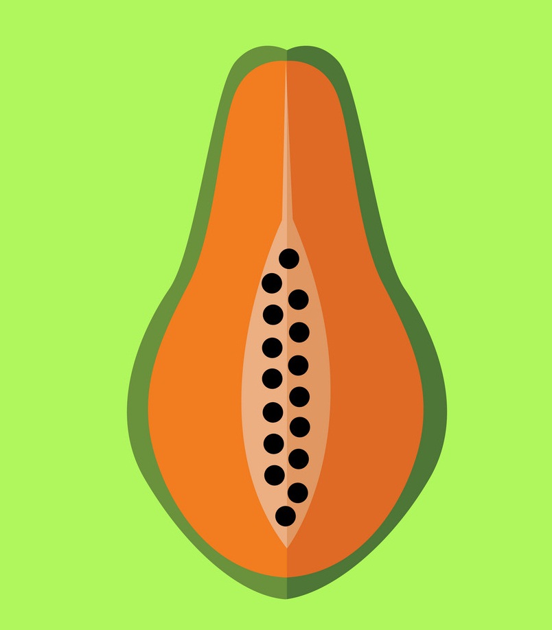 half of papaya icon on green background