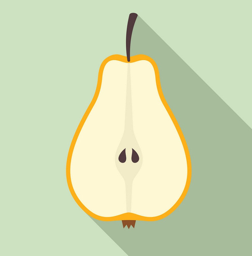 half of pear fruit icon