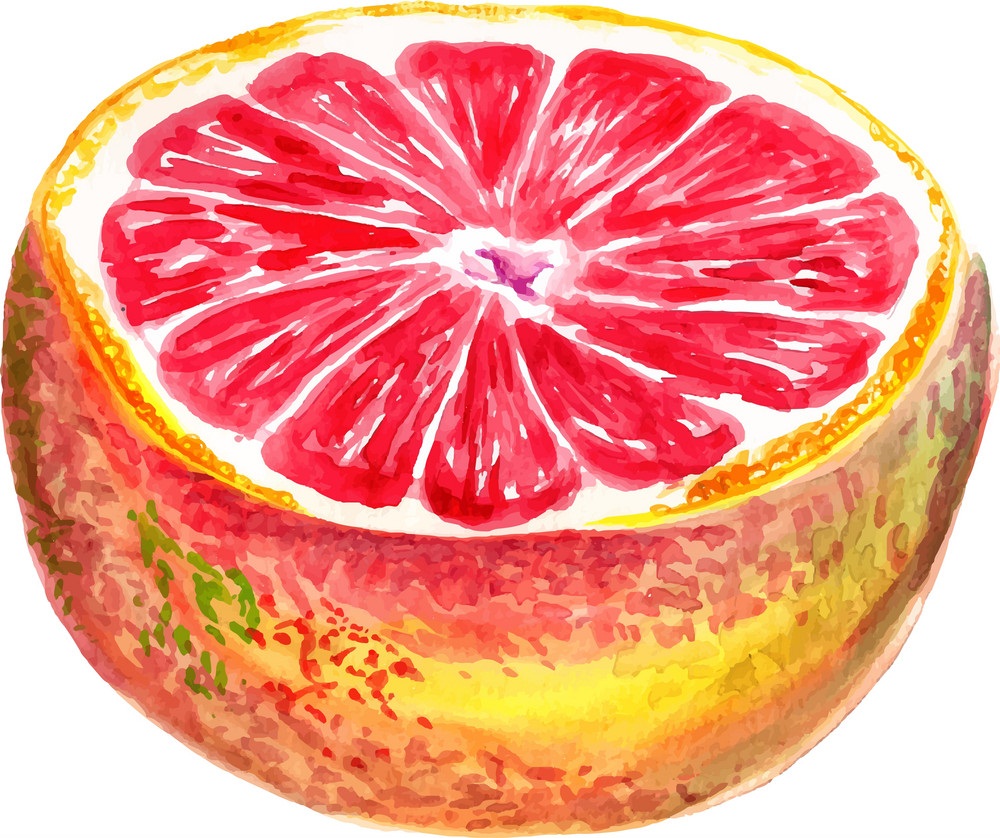 half of watercolor grapefruit