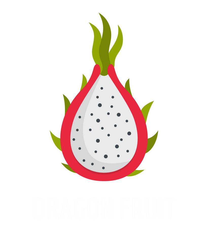 half ò dragon fruit icon