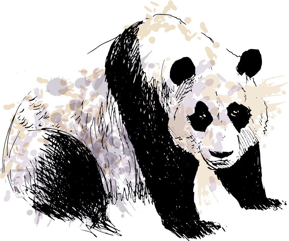 hand drawing panda