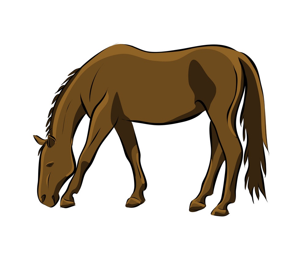 hand drawn brown horse