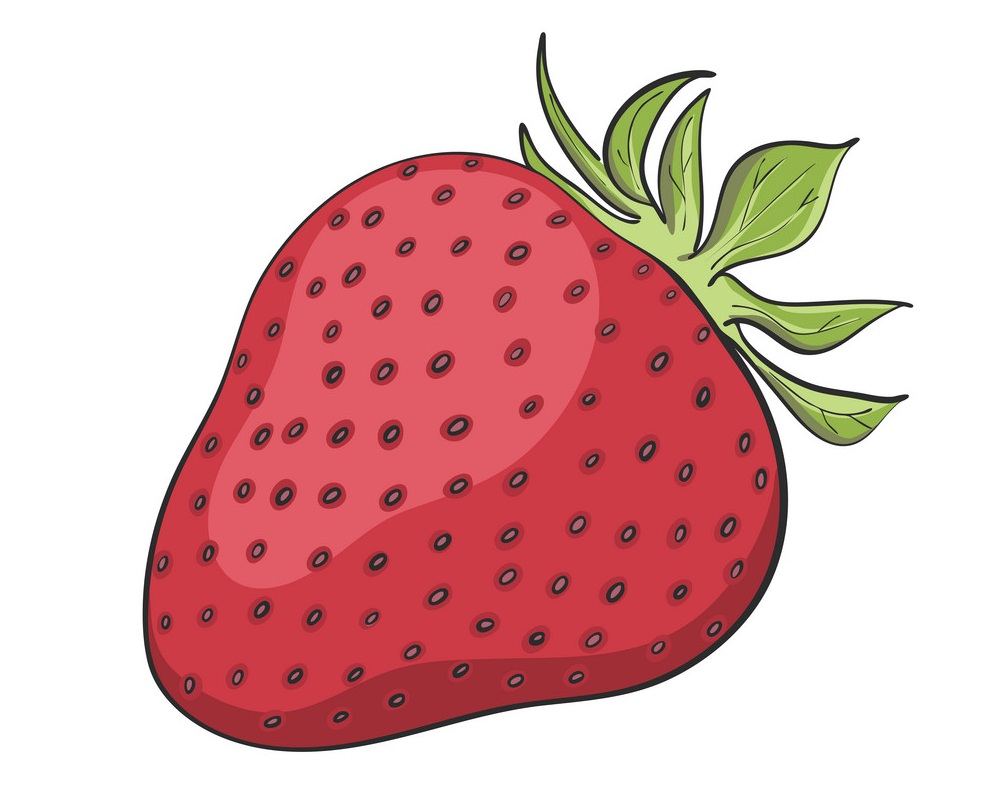 hand drawn strawberry