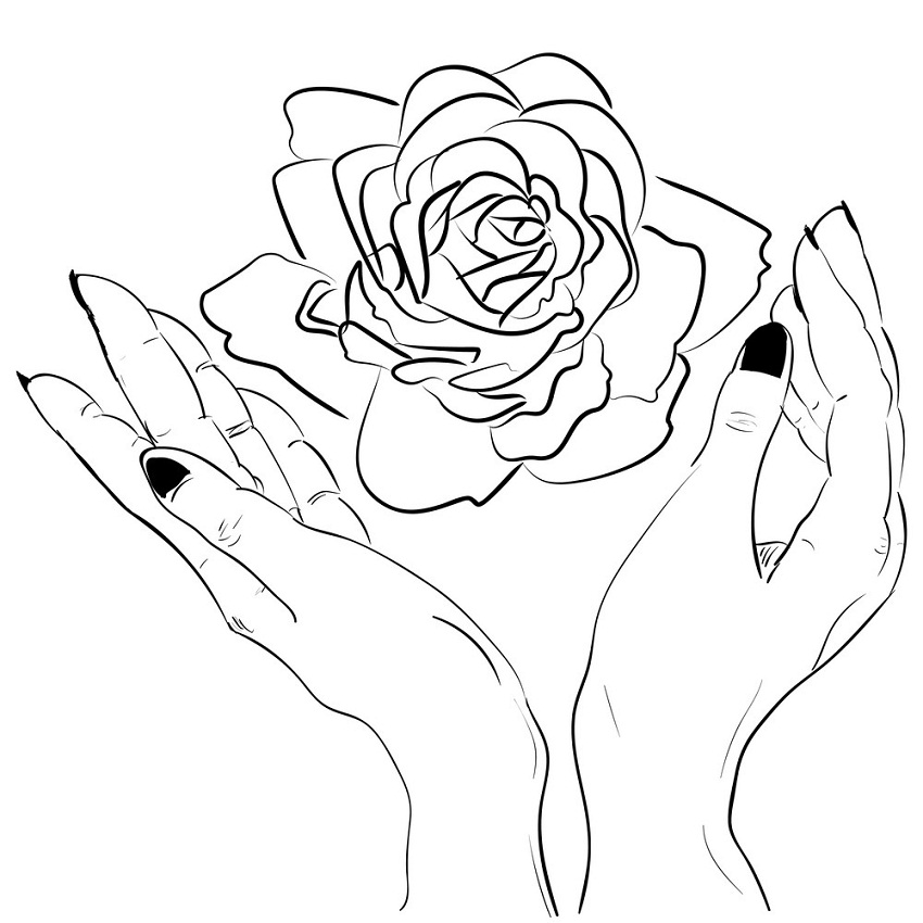 hands holding rose outline